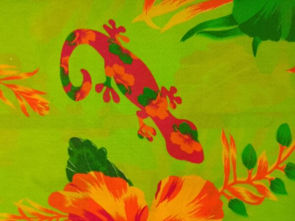 Iguana pareo - Imagen 5
