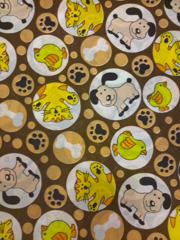 Perros gatos - Imagen 8