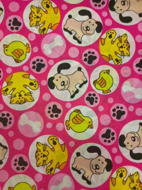 Perros gatos - Imagen 7