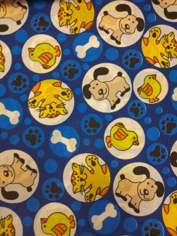 Perros gatos - Imagen 5