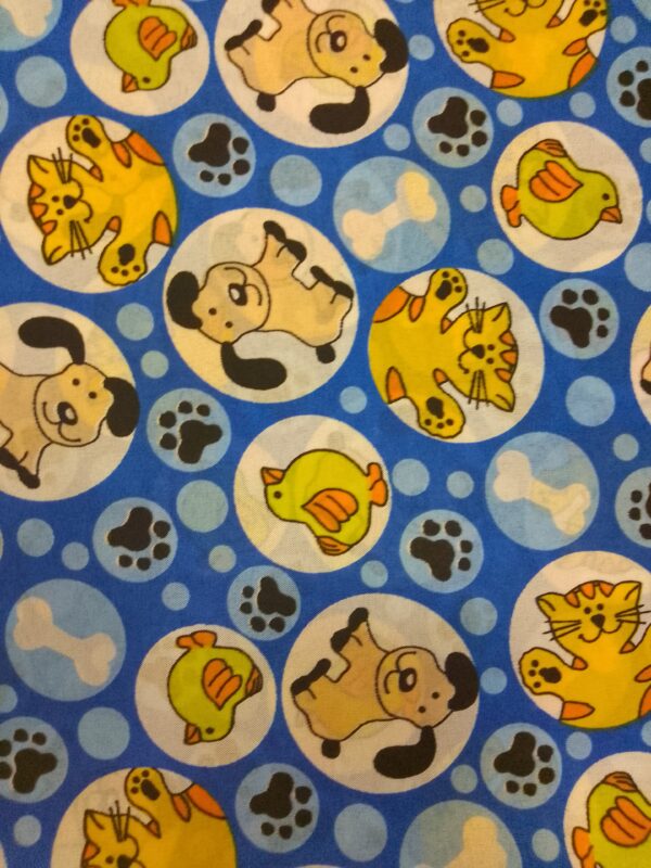 Perros gatos - Imagen 3