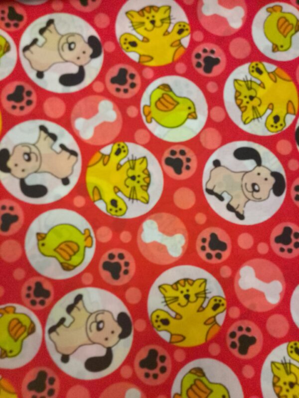 Perros gatos - Imagen 2