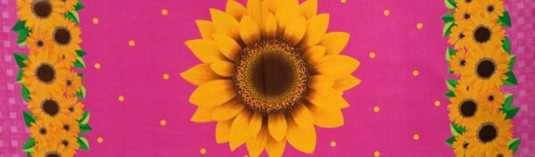 Girasoles - Imagen 6