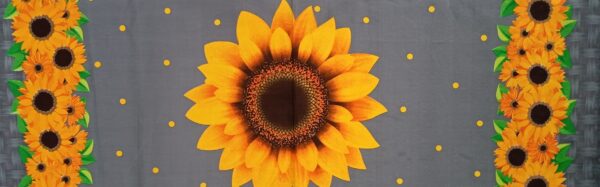 Girasoles - Imagen 7