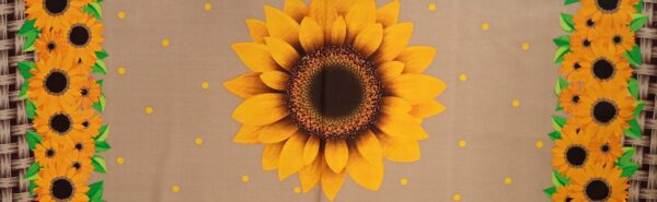 Girasoles - Imagen 11