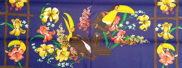 Tucan - Imagen 5