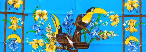 Tucan - Imagen 9