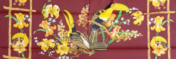 Tucan - Imagen 10