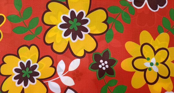 Floripondia - Imagen 4