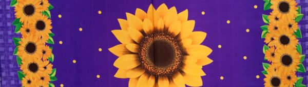 Girasoles - Imagen 8