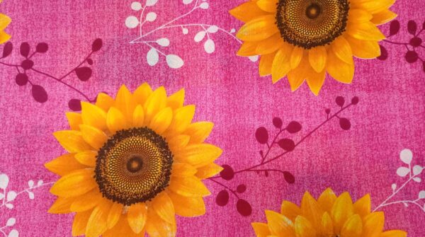 girasoles nuevo - Imagen 3