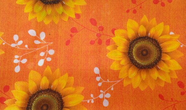 girasoles nuevo - Imagen 6