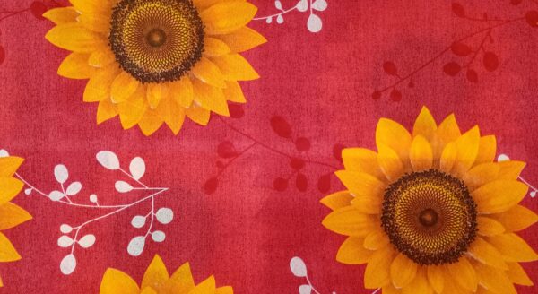 girasoles nuevo - Imagen 8