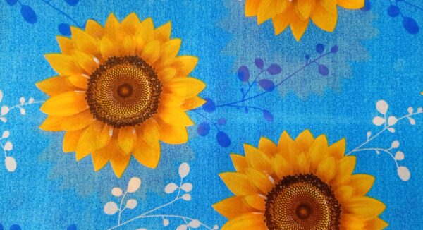 girasoles nuevo - Imagen 9