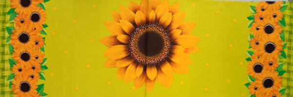 Girasoles - Imagen 12