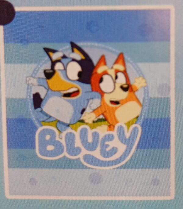 Bluey amigos