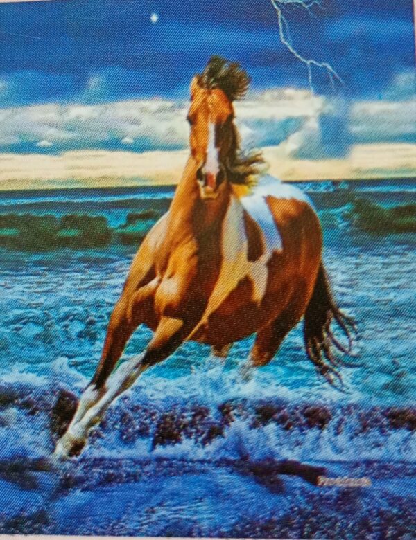 Caballo
