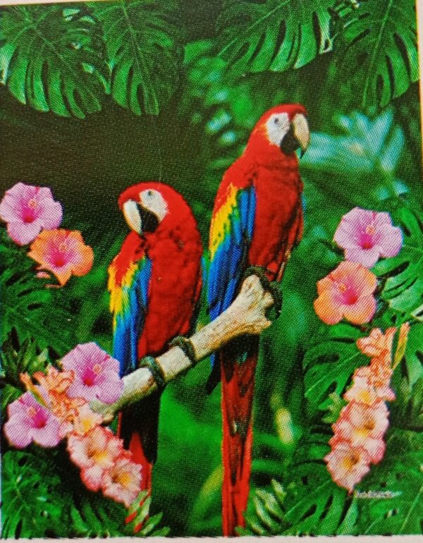 Guacamayas jungla