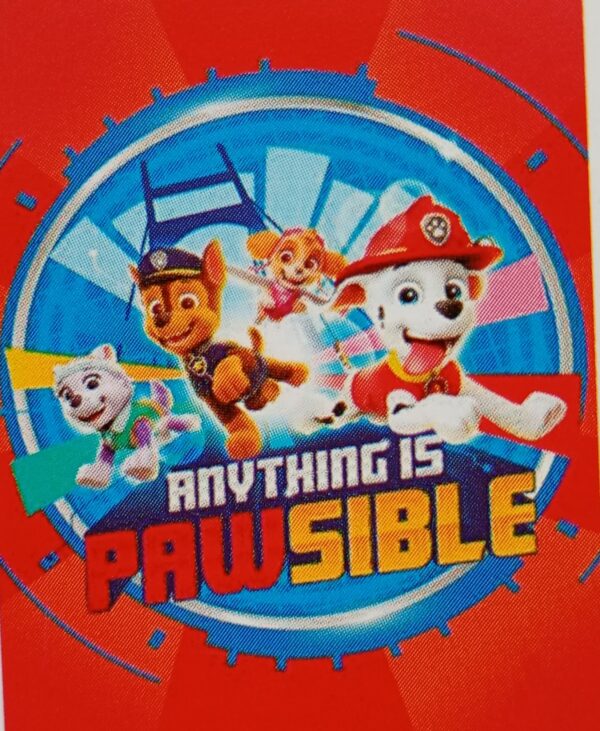 Paw patrol team
