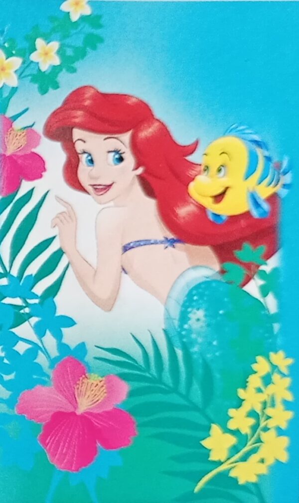 Ariel arrecife
