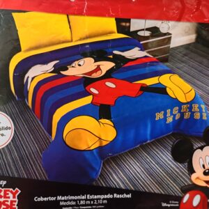 PROVIDENCIA PROVIPOLAR LICENCIA