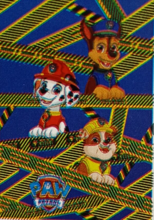 Paw patrol caution