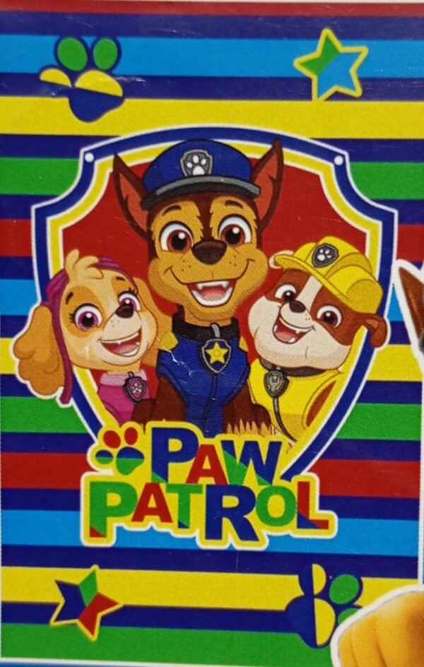 Paw patrol team