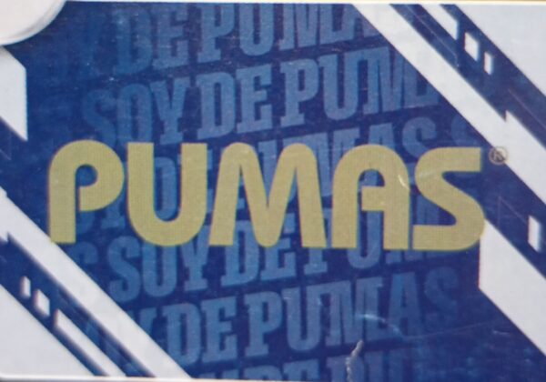 Pumas