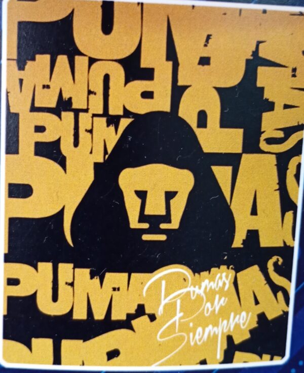 Pumas azul  y oro