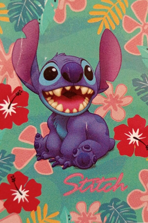 Stitch tropico