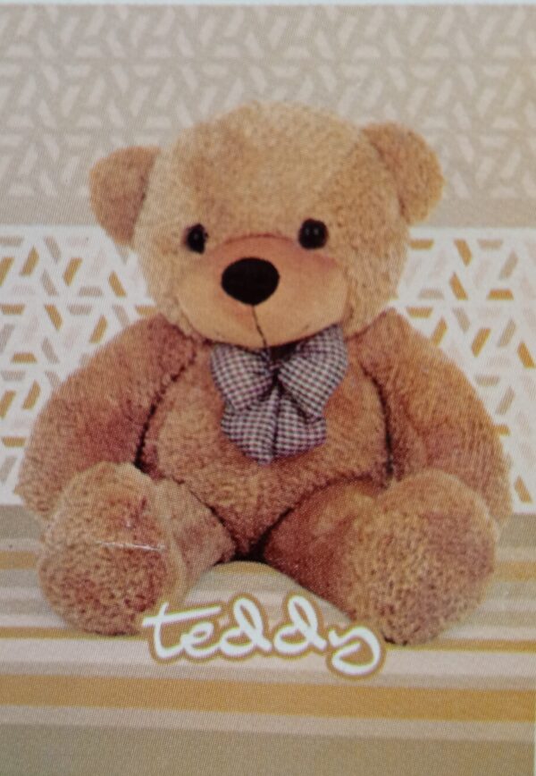 Teddy