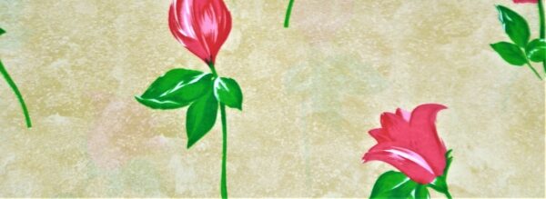 Floripondia - Imagen 7