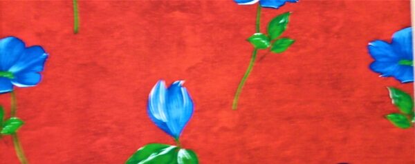 Floripondia - Imagen 11