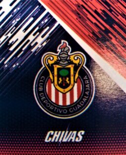 {{brizy_dc_image_alt entityId=