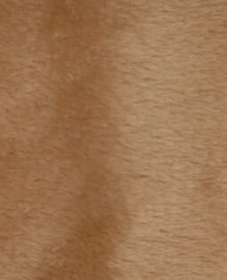 {{brizy_dc_image_alt entityId=