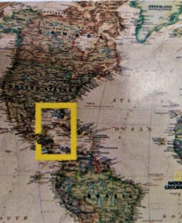 {{brizy_dc_image_alt entityId=