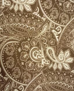 {{brizy_dc_image_alt entityId=