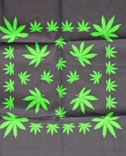 {{brizy_dc_image_alt entityId=