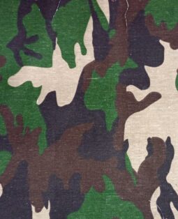 {{brizy_dc_image_alt entityId=