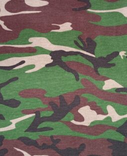 {{brizy_dc_image_alt entityId=